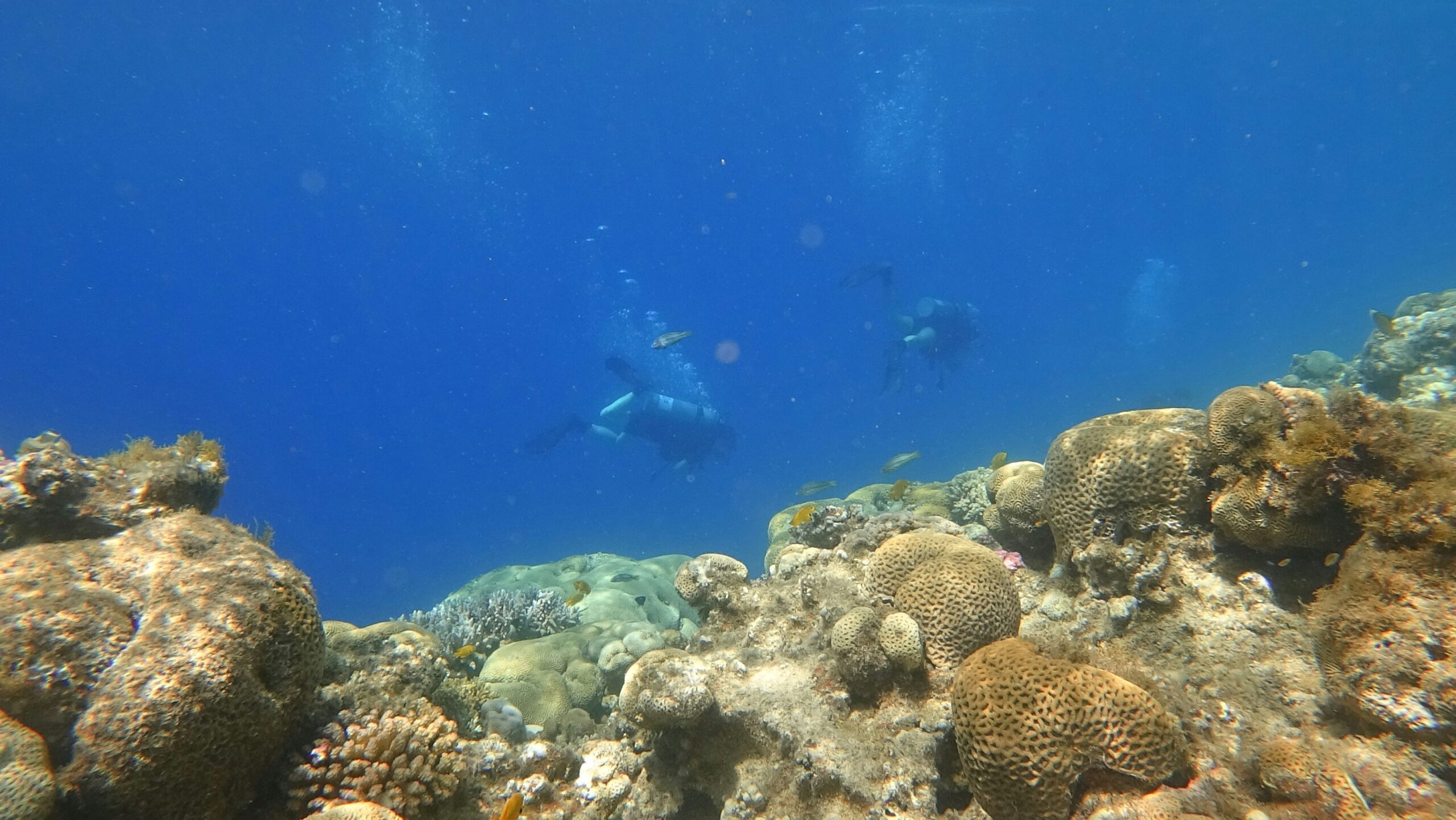 Esplora Sponsors Additional Clean-ups and Microplastics Study